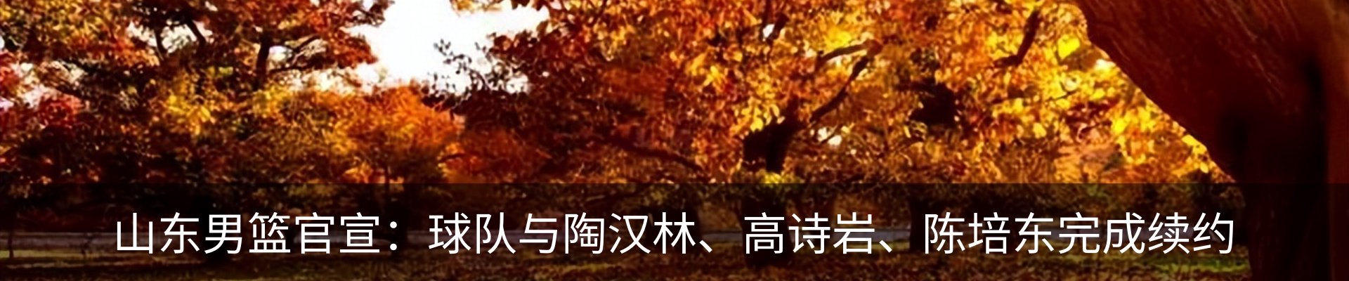 新闻动态