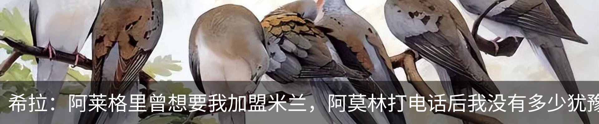 新闻动态