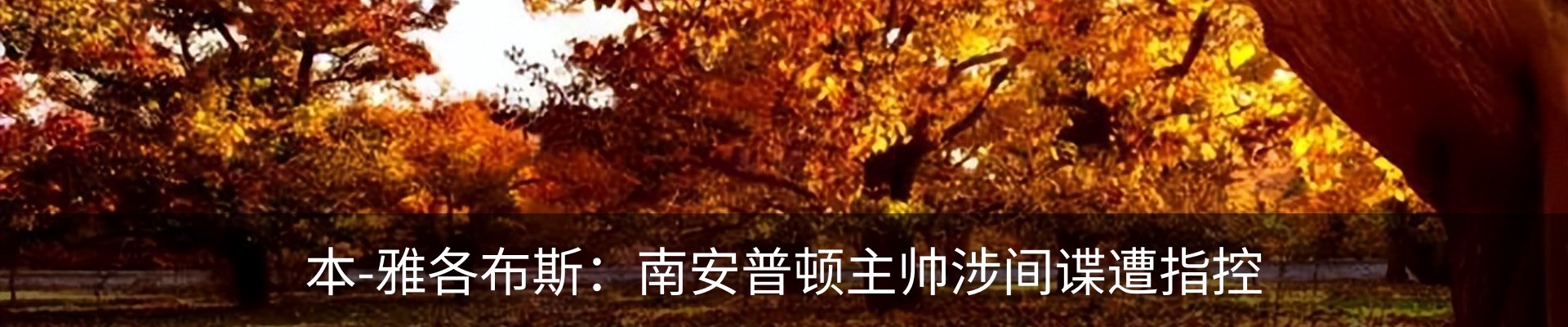 新闻动态