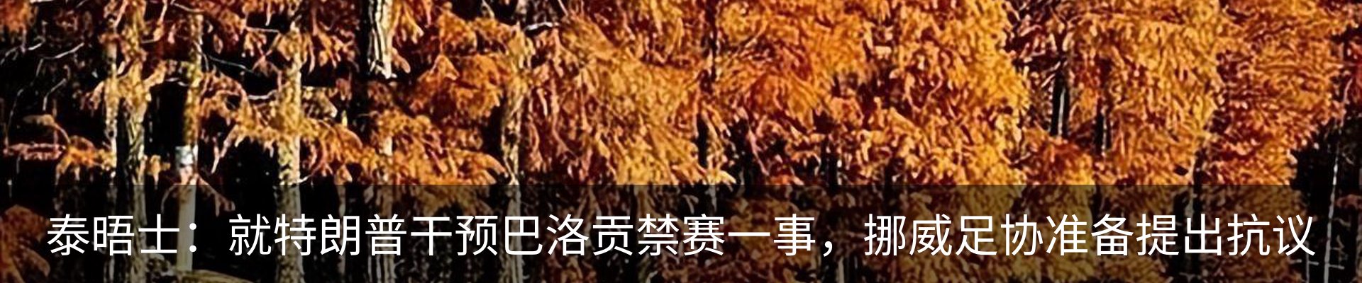 新闻动态