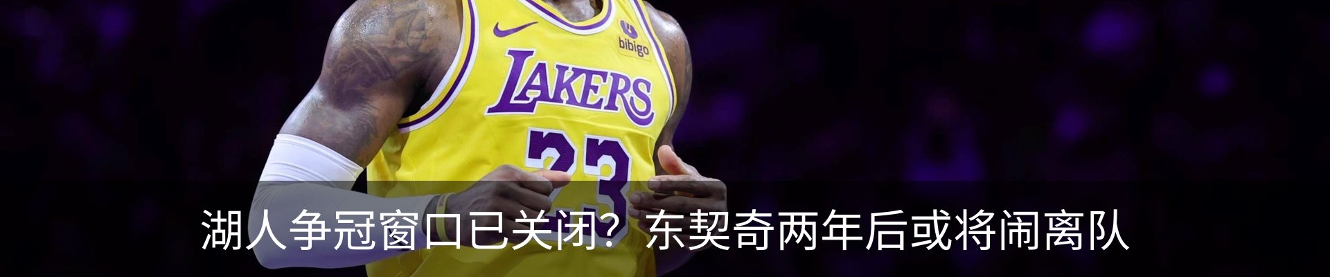新闻动态
