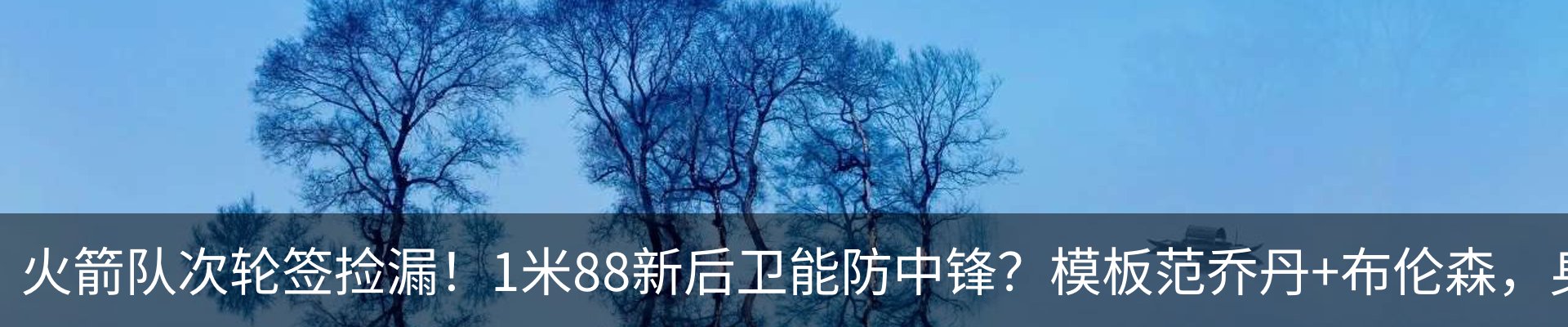 新闻动态