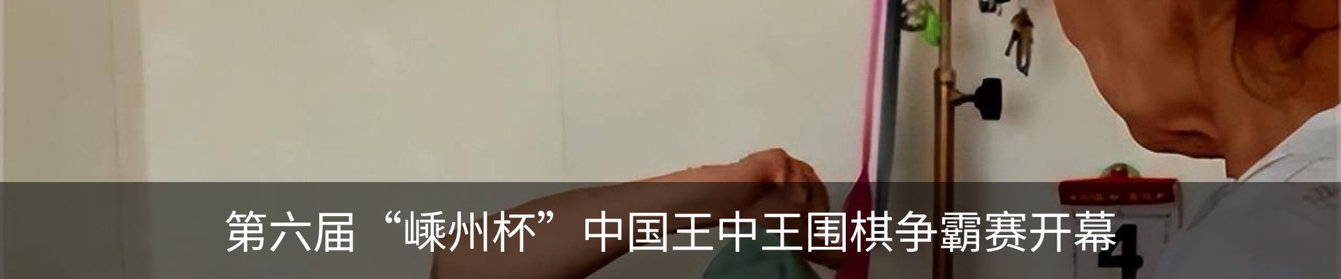 新闻动态