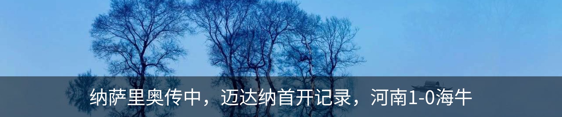 新闻动态