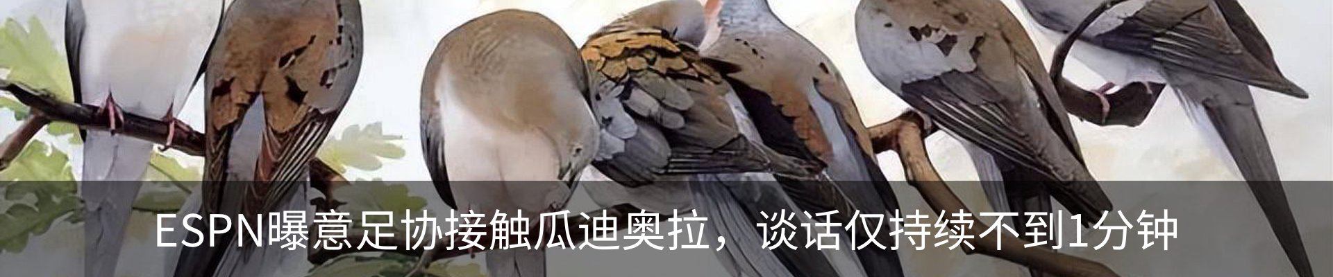 新闻动态
